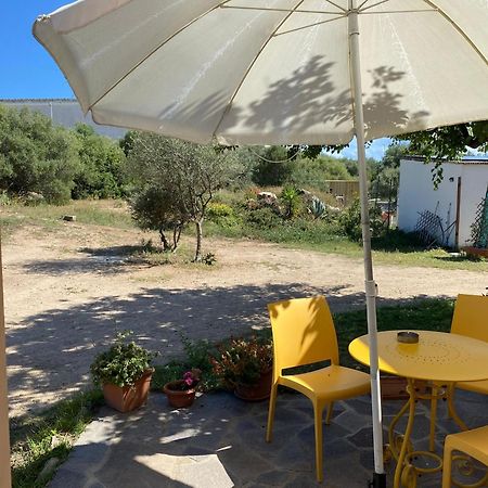 La Maison Di Zia Annina In Olbia Porta Della Costa Smeralda Luaran gambar