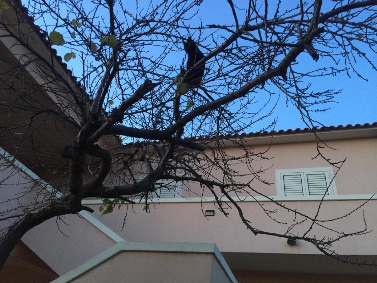 La Maison Di Zia Annina In Olbia Porta Della Costa Smeralda Luaran gambar
