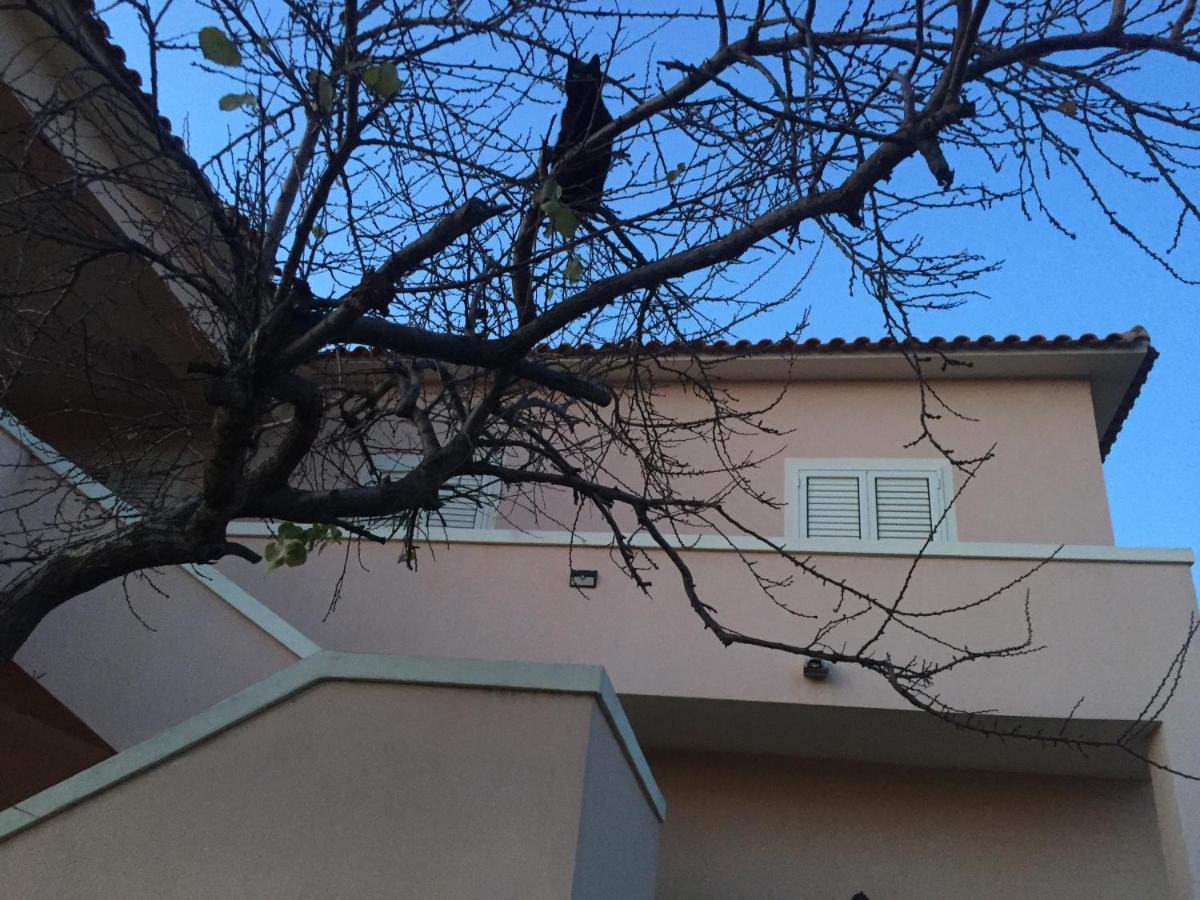 La Maison Di Zia Annina In Olbia Porta Della Costa Smeralda Luaran gambar