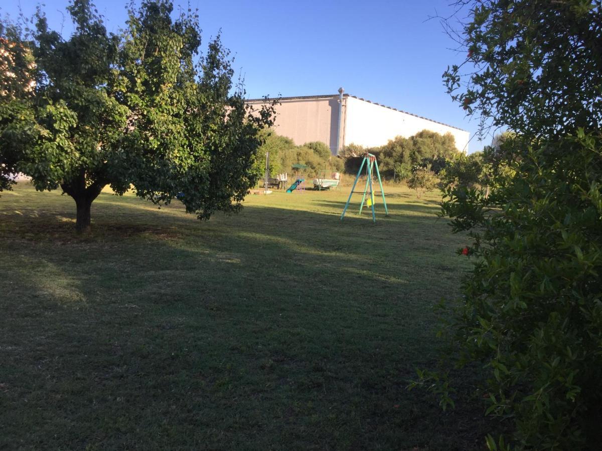 La Maison Di Zia Annina In Olbia Porta Della Costa Smeralda Luaran gambar