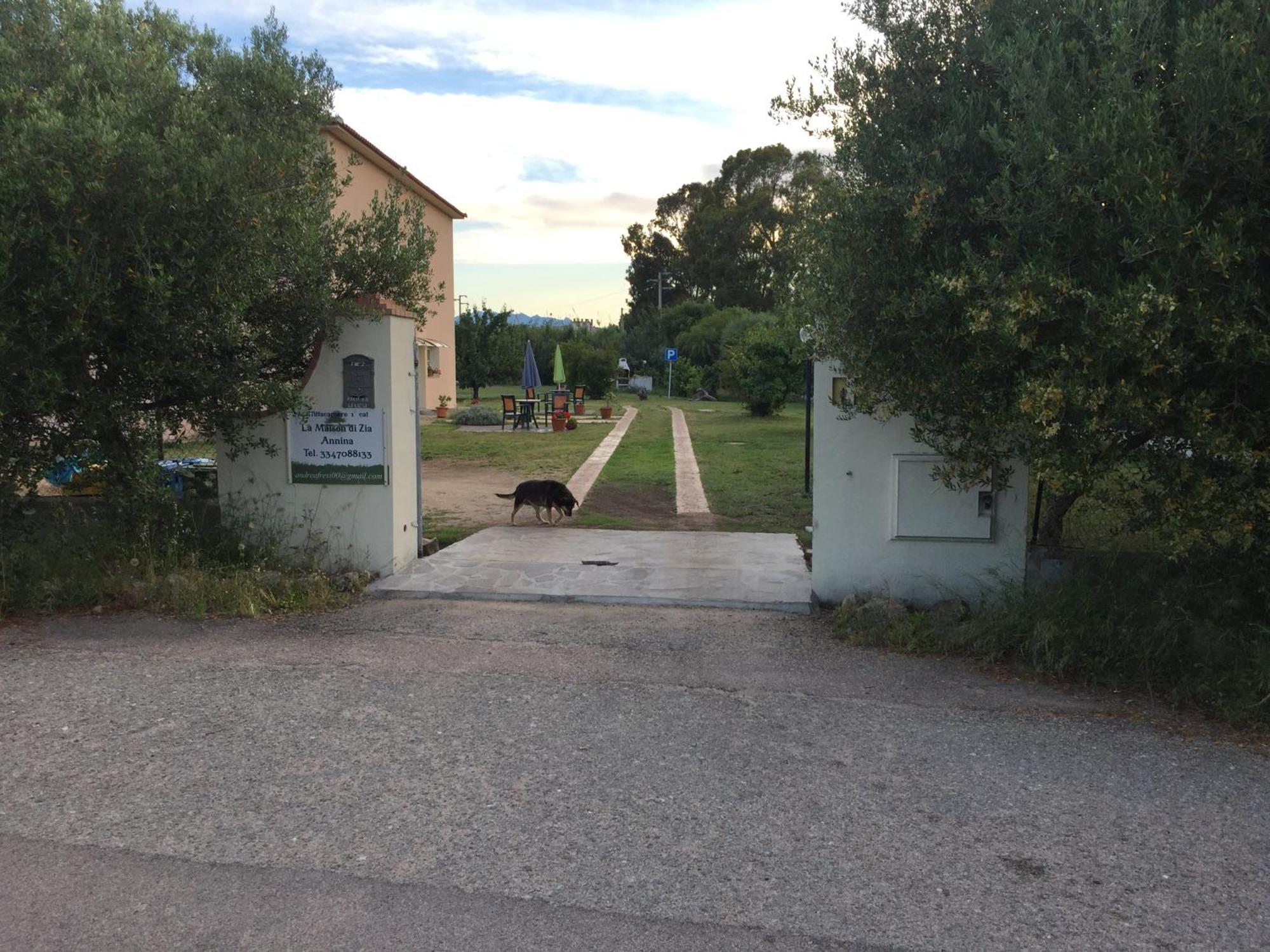 La Maison Di Zia Annina In Olbia Porta Della Costa Smeralda Luaran gambar