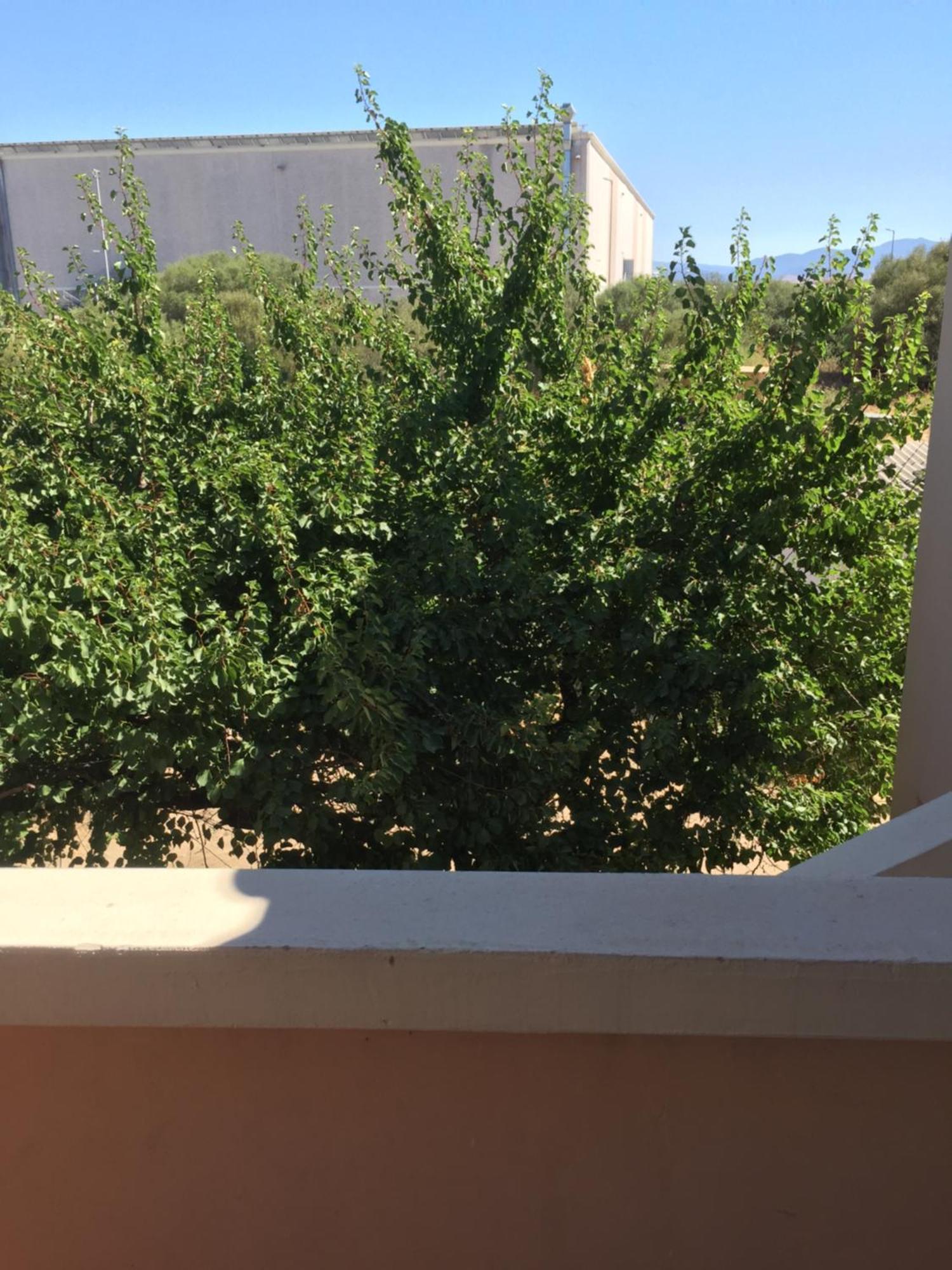 La Maison Di Zia Annina In Olbia Porta Della Costa Smeralda Luaran gambar