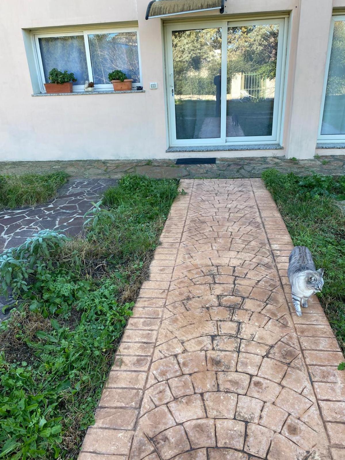 La Maison Di Zia Annina In Olbia Porta Della Costa Smeralda Luaran gambar