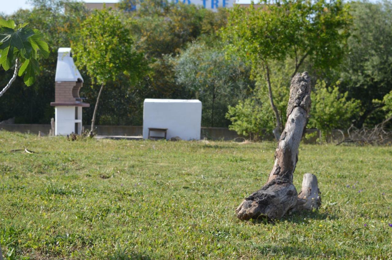 La Maison Di Zia Annina In Olbia Porta Della Costa Smeralda Luaran gambar